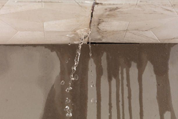 Professional Sewage Cleanup technician working in West Springfield, MA